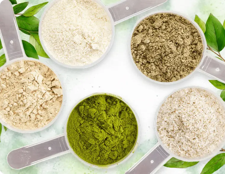 The plant and mineral blend used in ProDentim